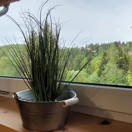 Trzy Kopce & Bike & Sauna *