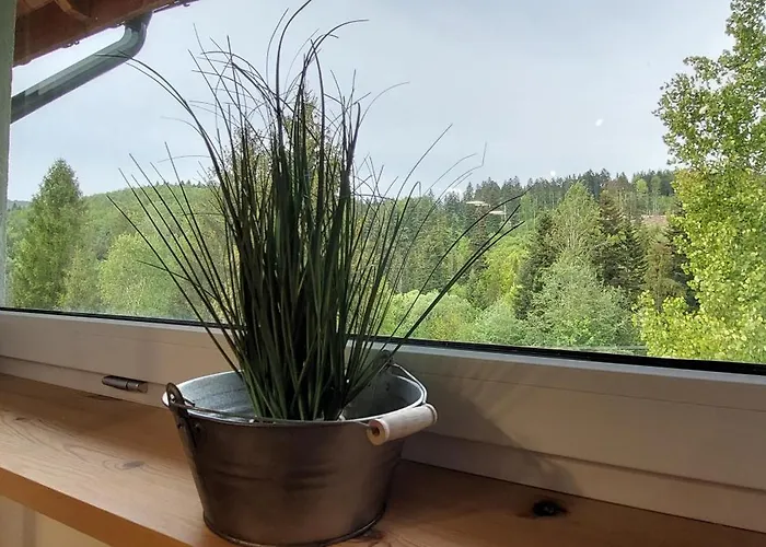 Trzy Kopce & Bike & Sauna *